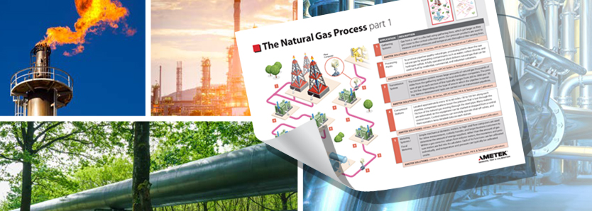 Natural Gas Gauges